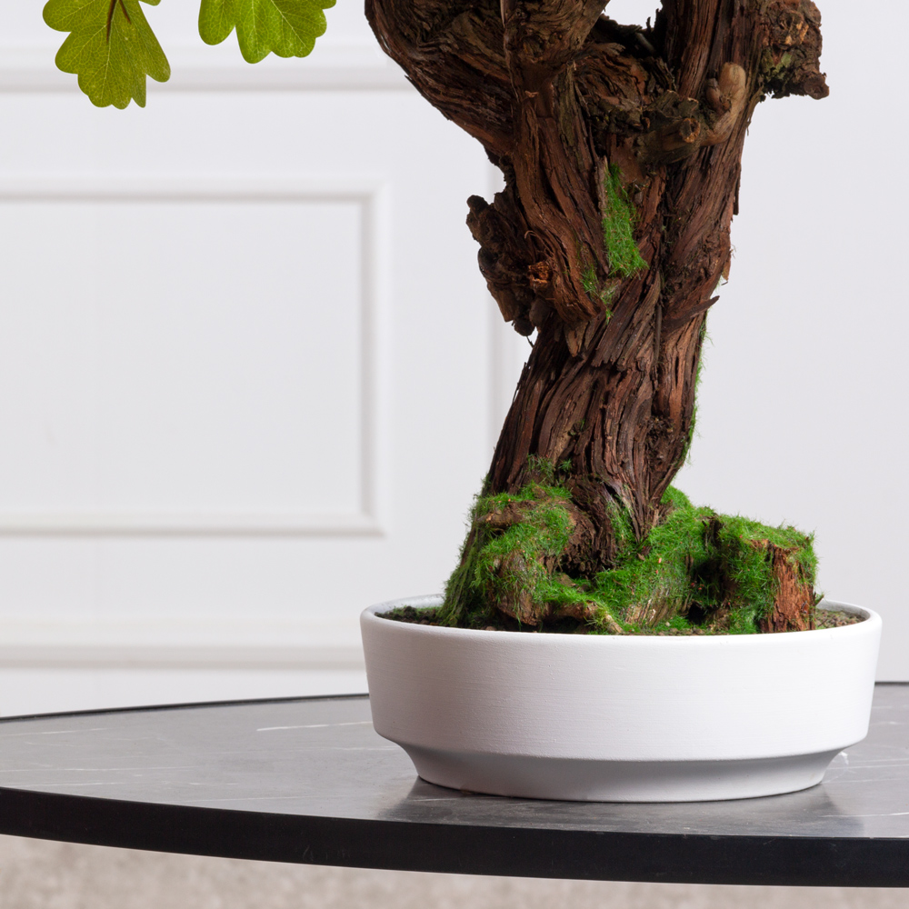 БЛ075/ОС/2222(F) Бонсай искусственный Дуб h75см в интерьерном кашпо_3