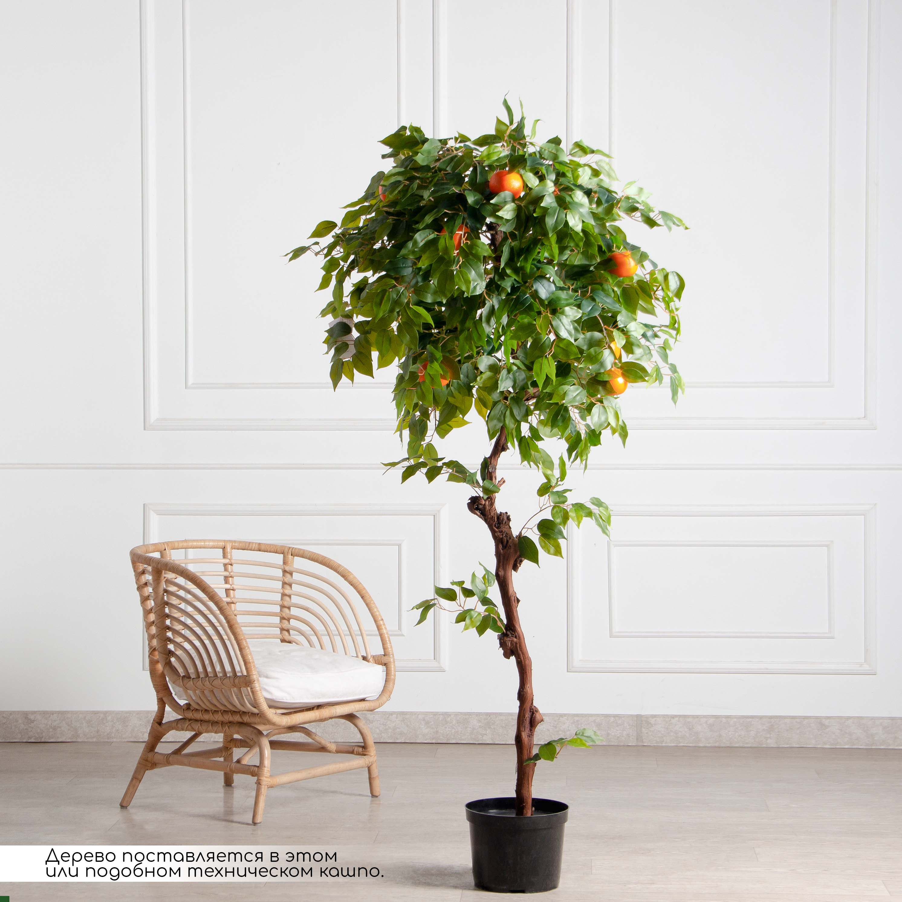 180/ОС/24М(F) Мандарин искусственный с плодами h180см (латекс)_2