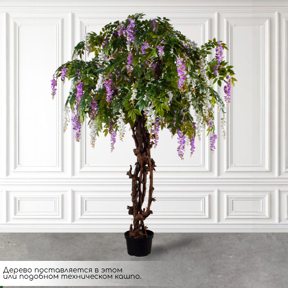 260/ОС/АСС/424(з)(F) Глициния искусственная h260см d200х190см (латекс), бело-сиреневая_2