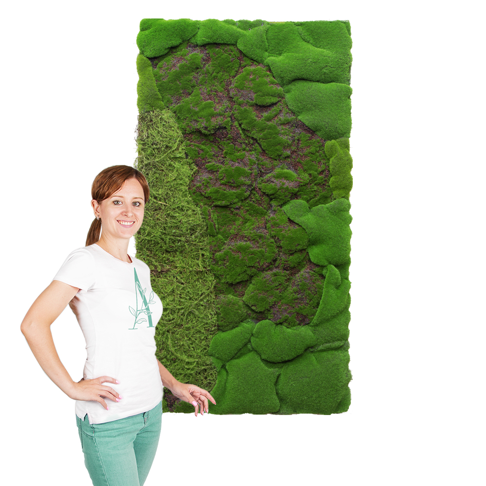 Фитостена 124 (1кв.м)_3