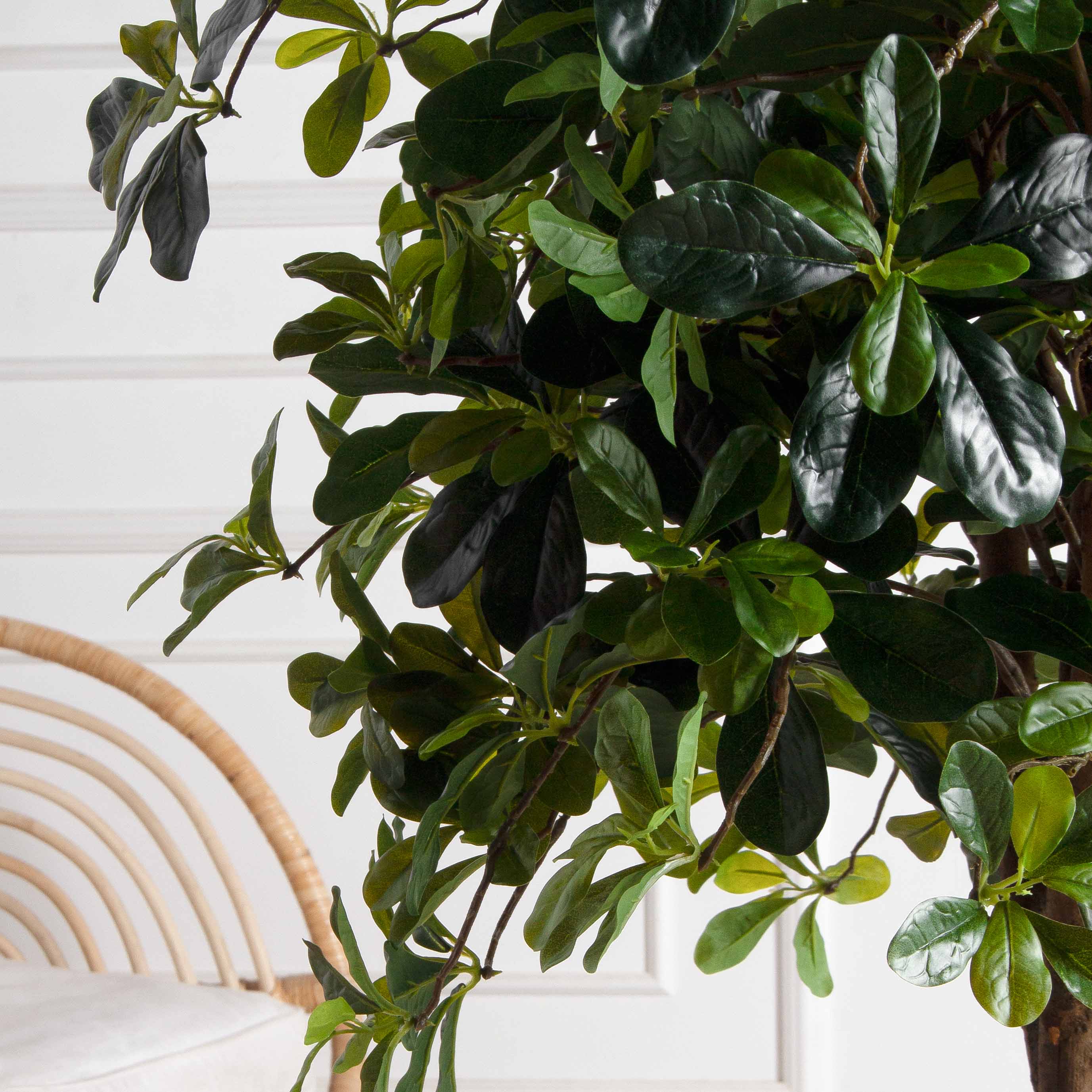 150/РН/84-2(з)(F) Шеффлера искусственная h150см_3