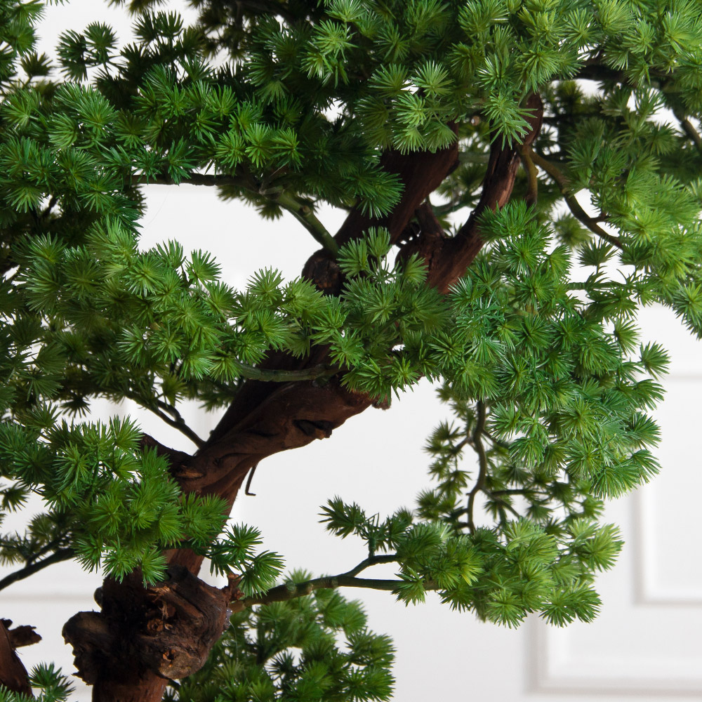 БС110/ОС/427(Пр)(F) Бонсай искусственный Сосна h110см_5