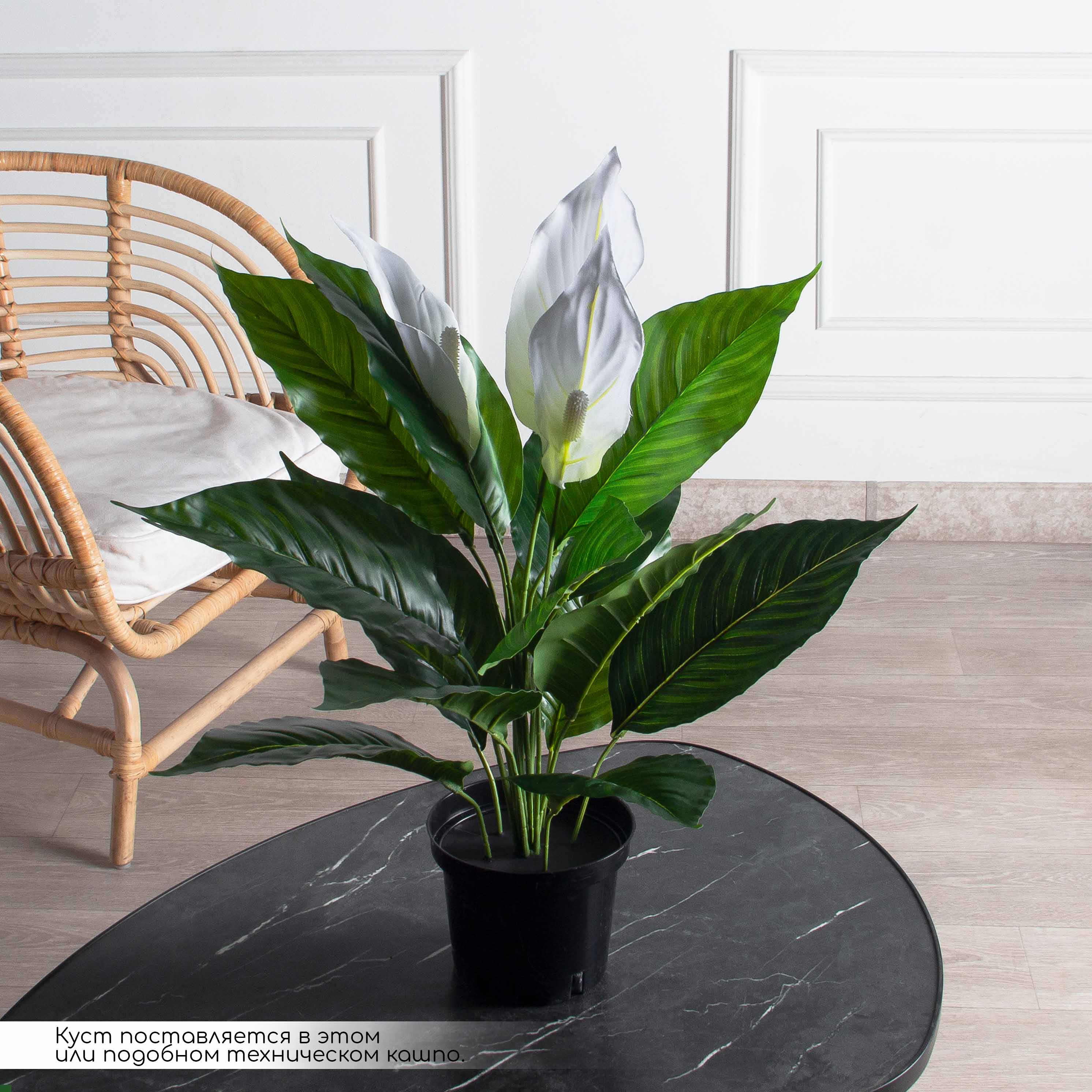К60/217(F) Спатифиллум искусственный цветущий h60см_2
