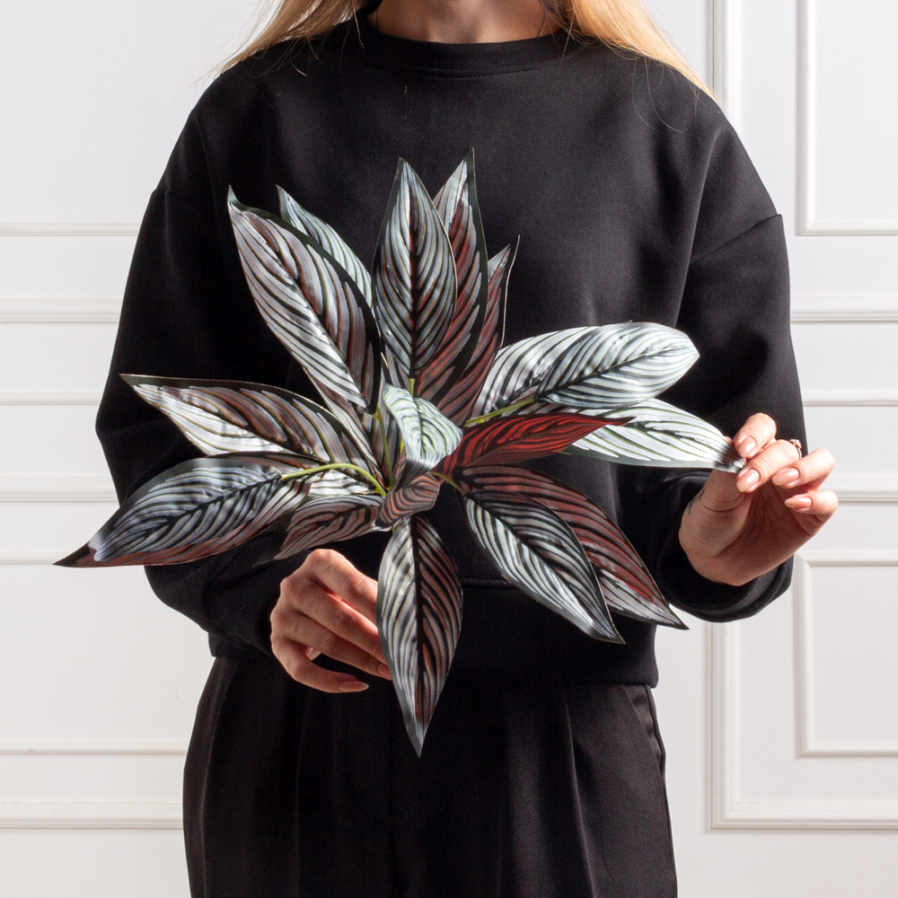 7143/А2786-03(F) Подкустник Калатея Драйв *19л (h-40см)_2