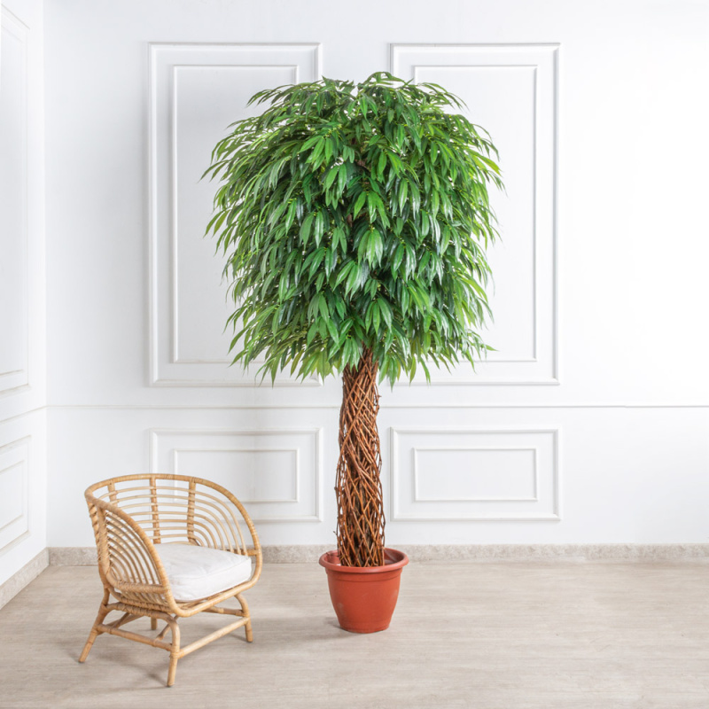 260/ССТК/ВП/2199(з)(F) Лонгифолия искусственная h260см d130см, латекс_1