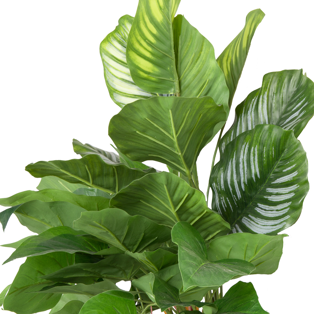 БК 25 Композиция с филодендроном на блоке 15*h10_3