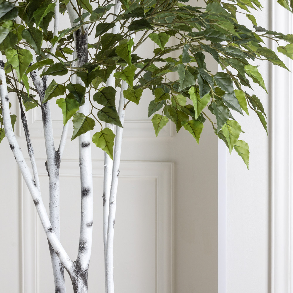 200/РН/490(з) Береза искусственная h200см (латекс)_2