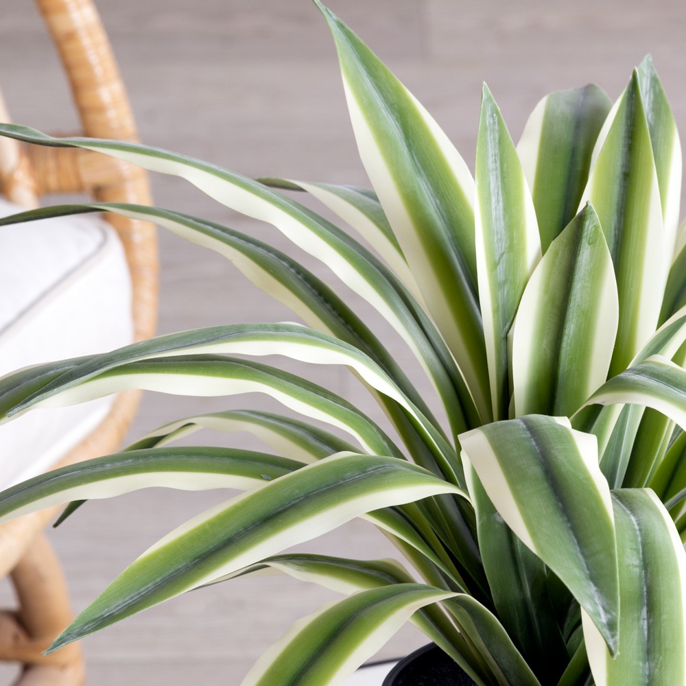 040/501(F) Юкка Глариоза искусственная h40см_1