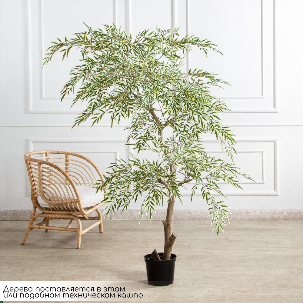 170/РН/АСС/701(Пр)(F) Магония искусственная h170см,зелено-белая,(латекс)_2