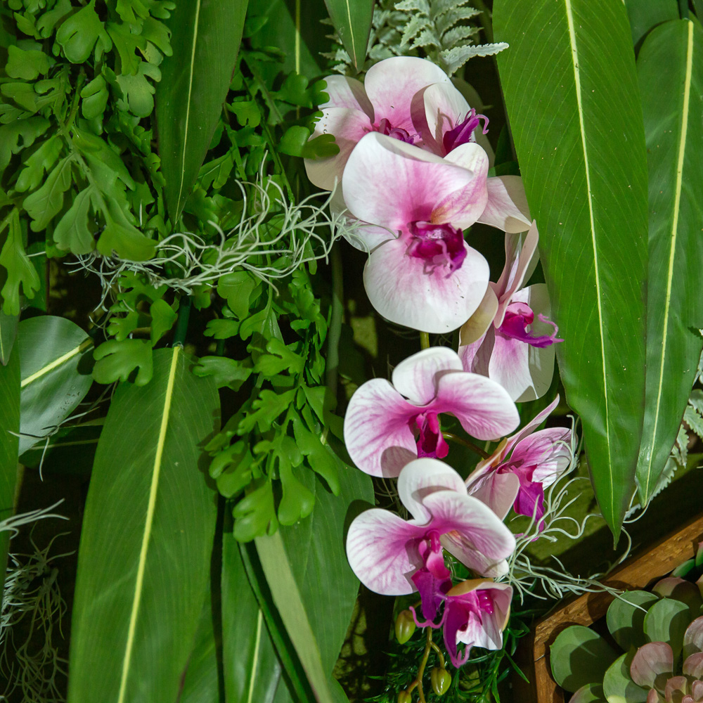 Фитостена 101_7