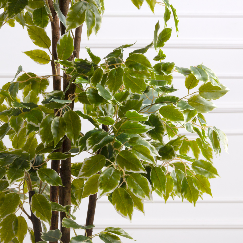 160/3К/РН/17(Пр)(F) Фикус Бенджамина искусственный h160см_2