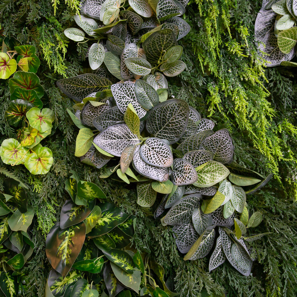 Фитостена 37(з.)_4