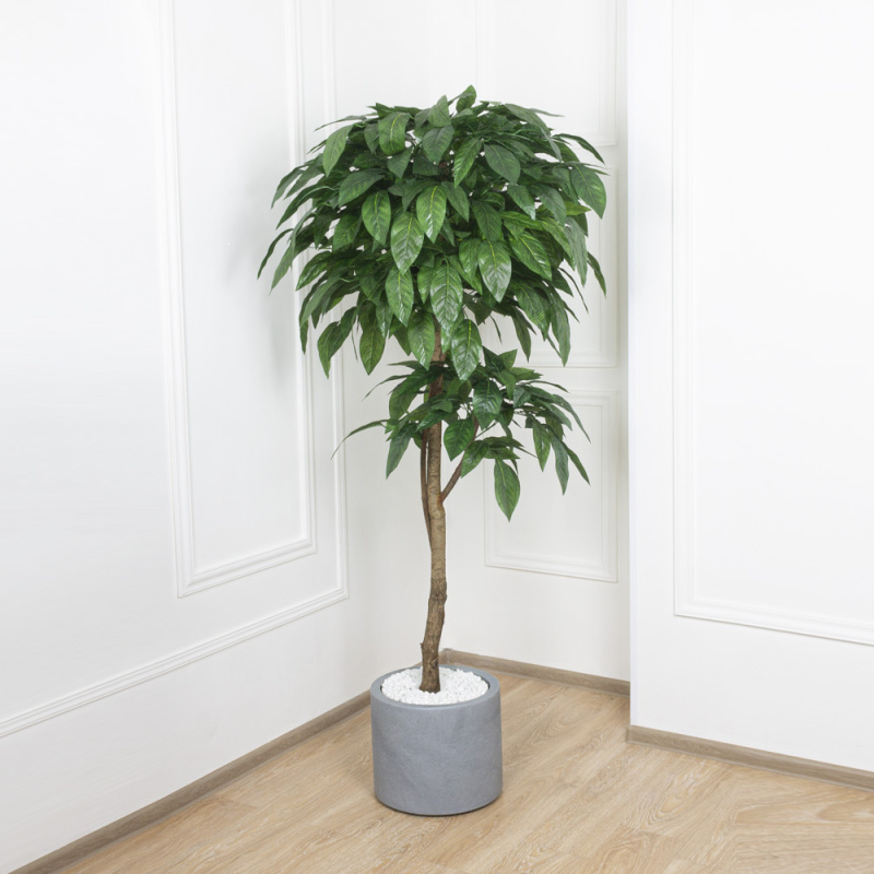 190/2К/31 Дерево искусственное Камфора h190см_3