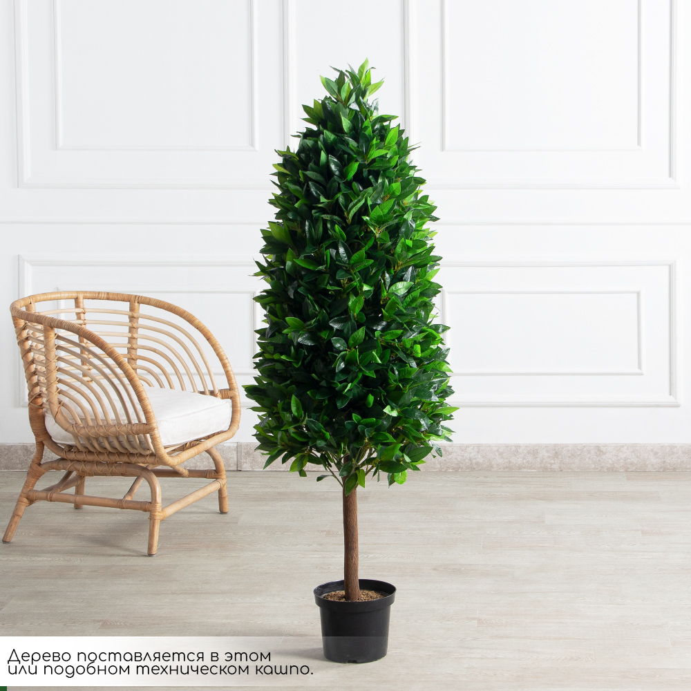 150/ДК/ШТ/188(Пр)(F) Лавр искусственный конус h150см (латекс)_2