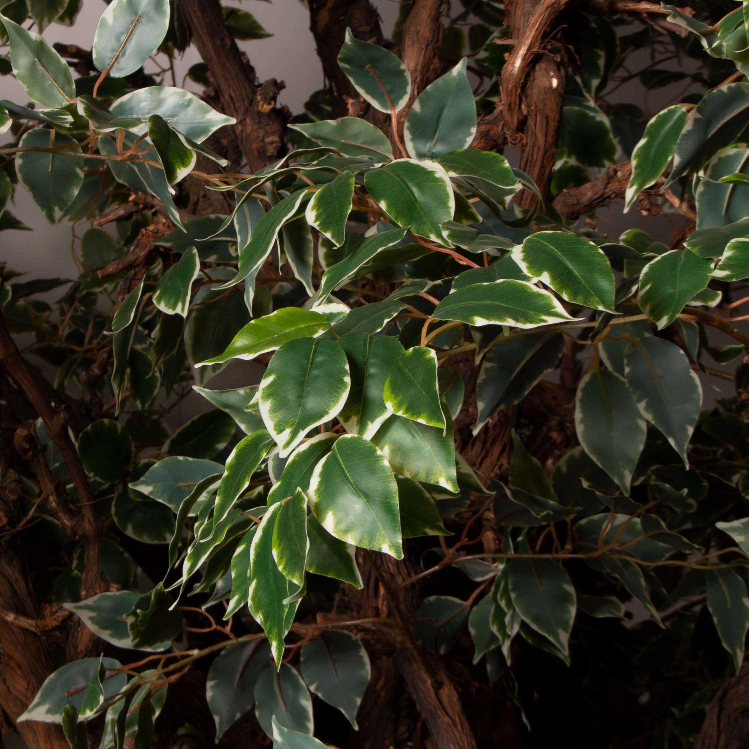 320/ОС/АСС/17(Пр)(F)Фикус Бенджамина искусственный h320см_6