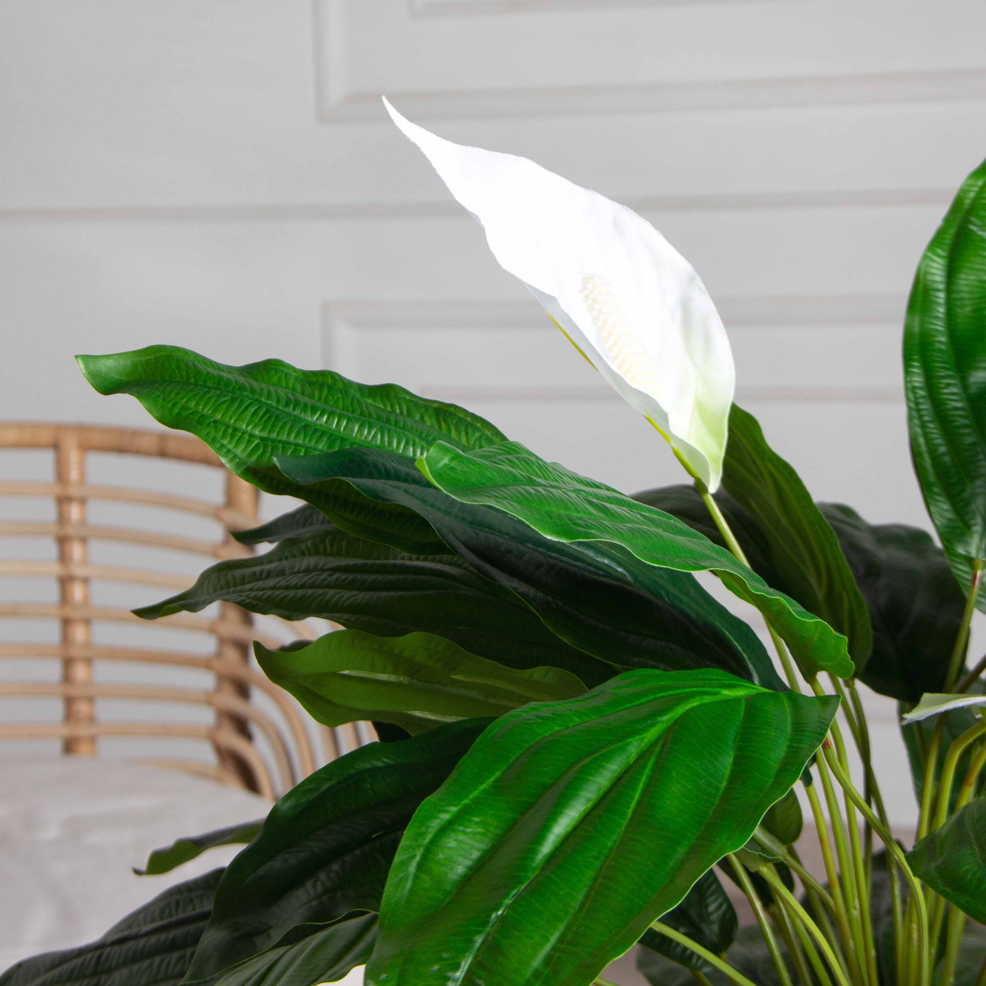 К060/217(Х)(Пр)(F) Спатифиллум искусственный цветущий (латекс)_2