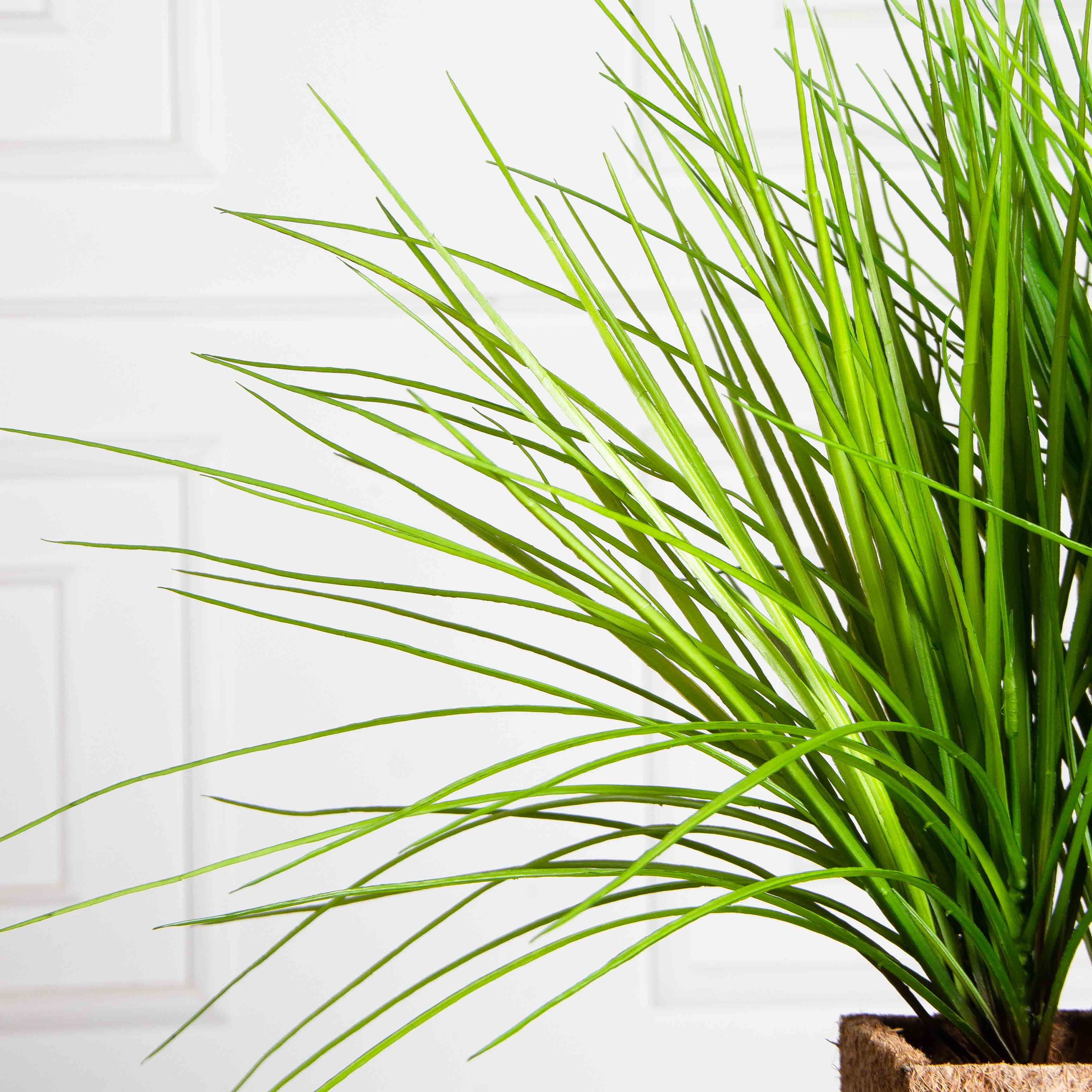 ТД078(F) Трава Осока искусственная  h40см в кокосовом боксе 50х10х10см_5