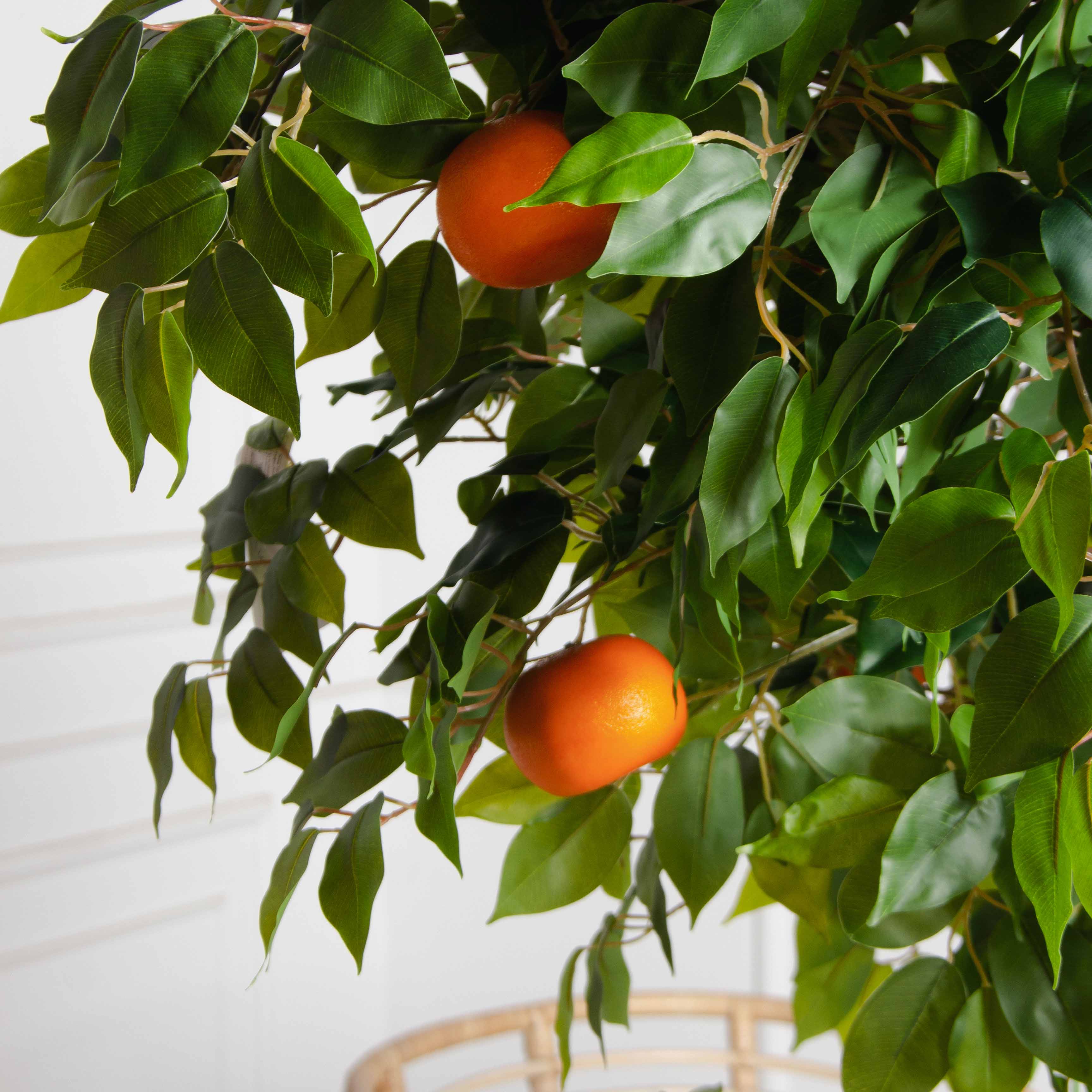 180/ОС/24М(F) Мандарин искусственный с плодами h180см (латекс)_3