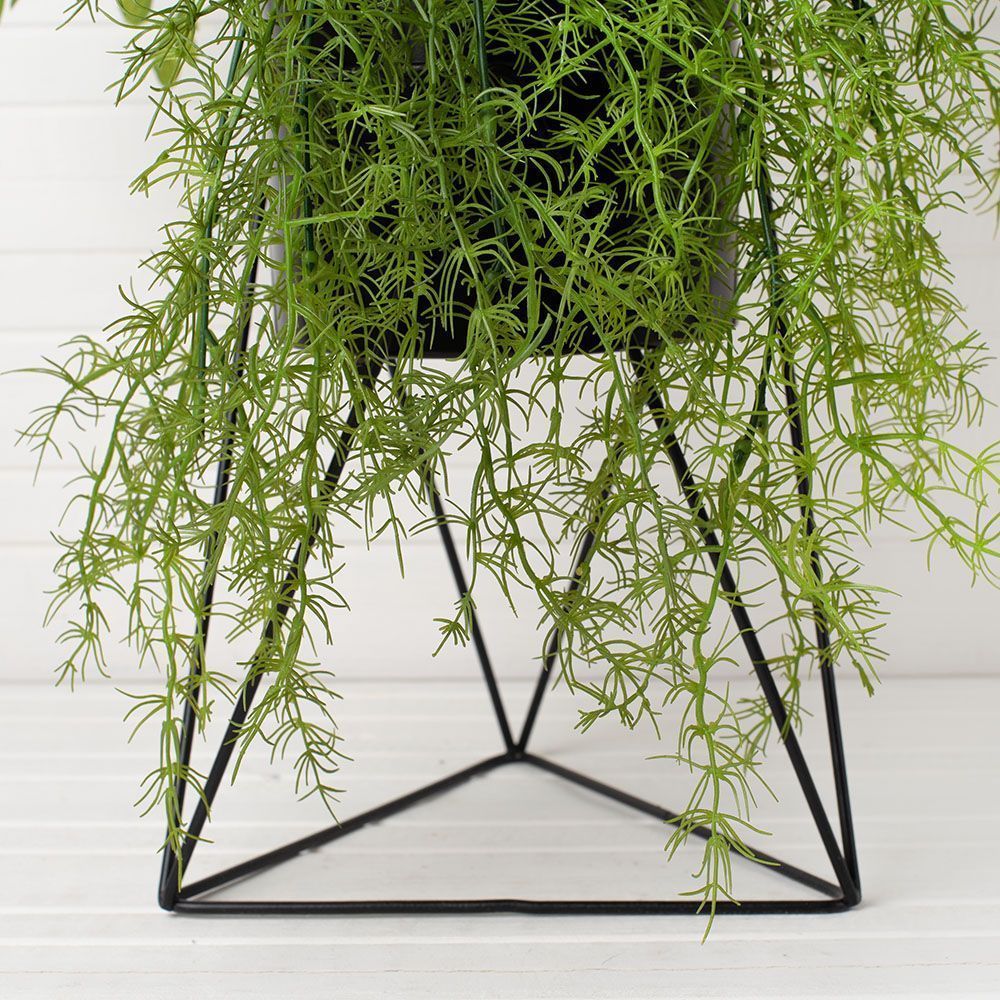 КС/МП43 Зелень ампельная (латекс) в кашпо на метал. подставке h-50см_2