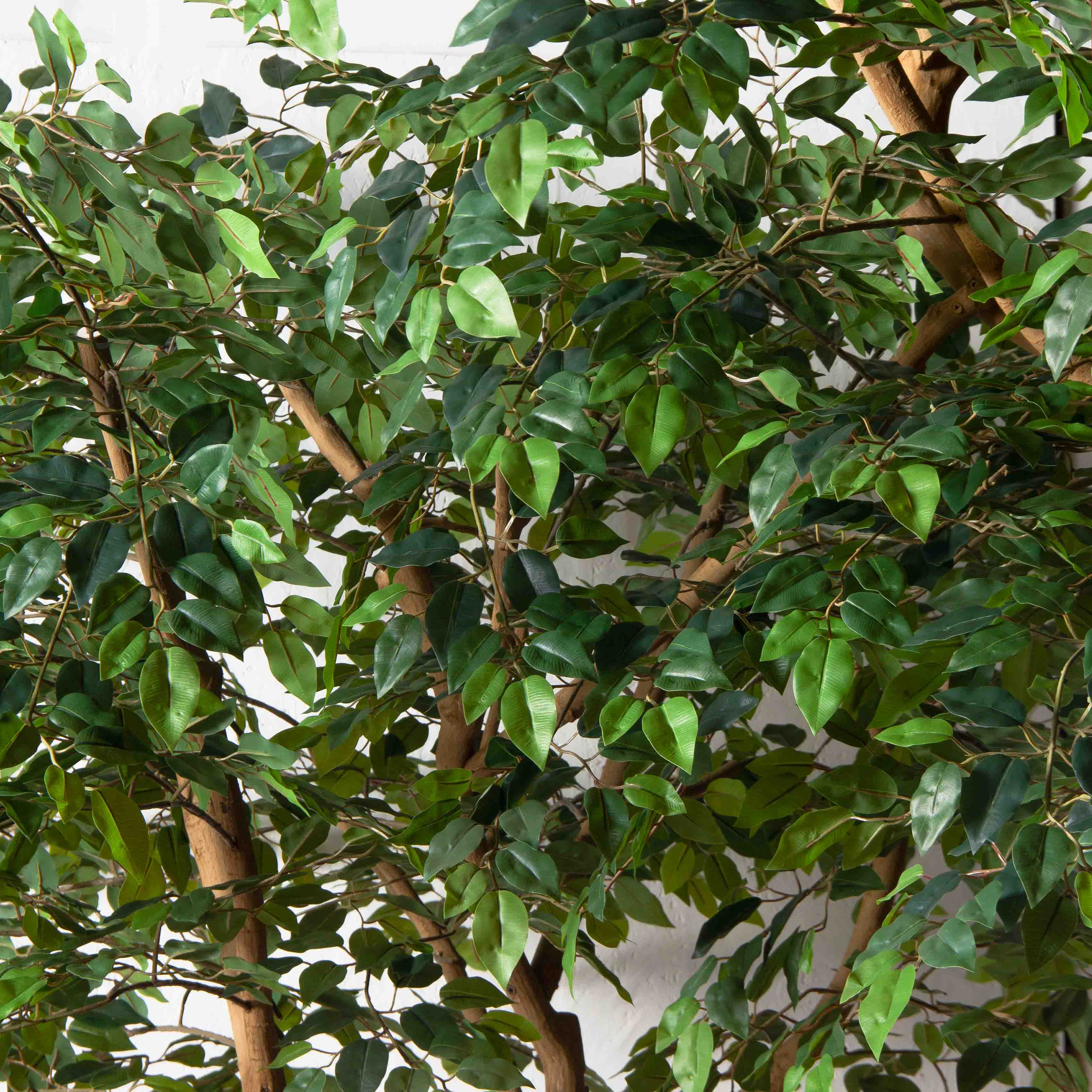 290/ДА/344(Пр)(F)Фикус искусственный h290см_6