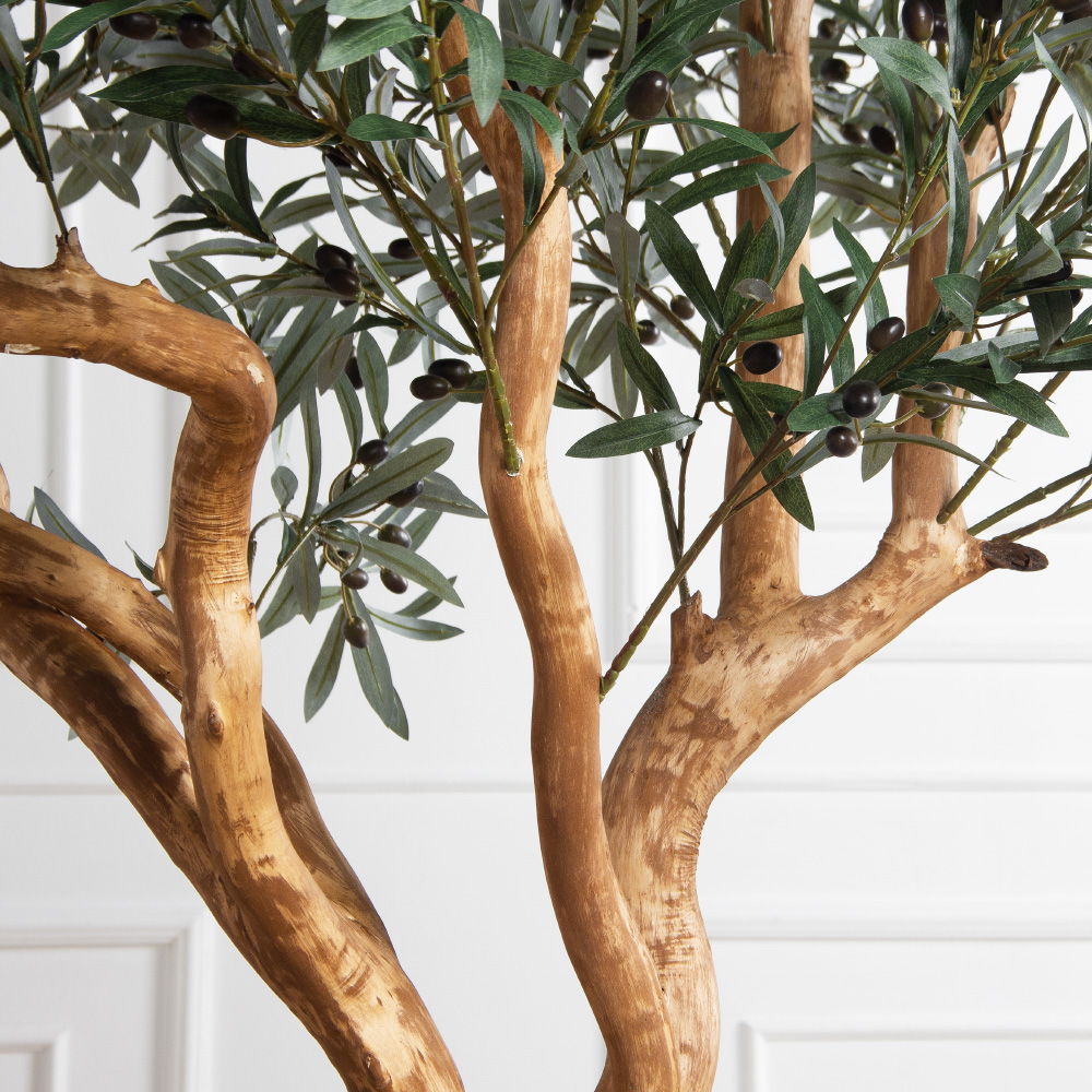 200/1Ст/ВИТ/465(Пр)(F) Оливковое дерево искусственное h200см на основании_6