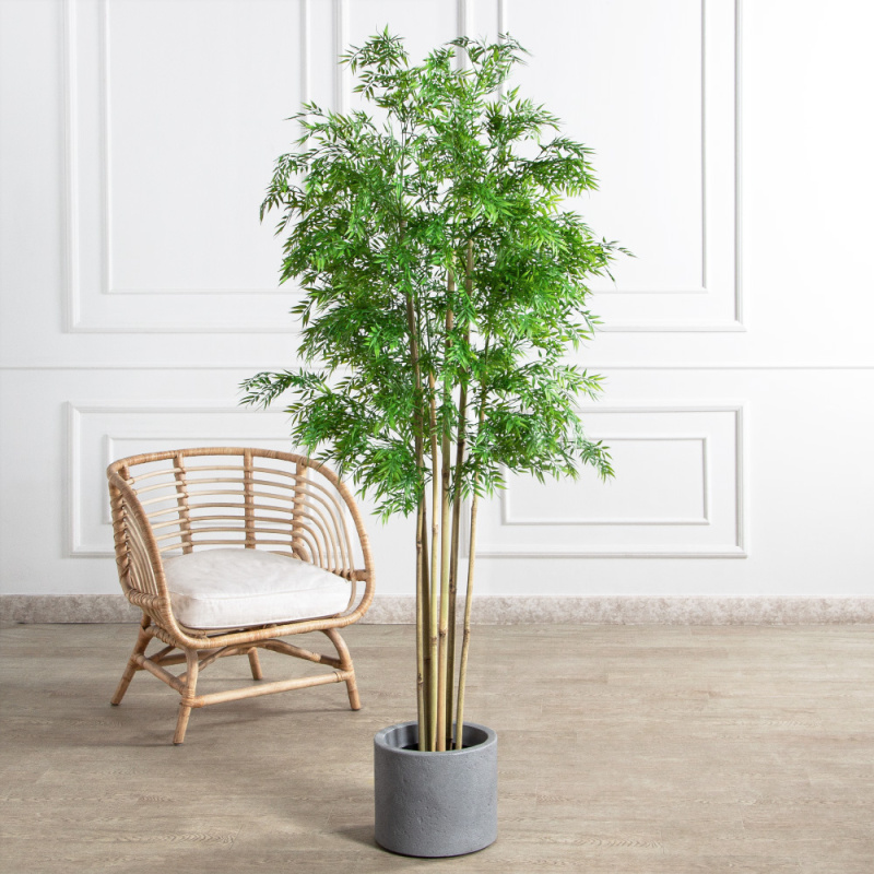 180/620(FixS)(Пр)(F) Бамбук искусственный узколистный 6 стволов, h180см_1