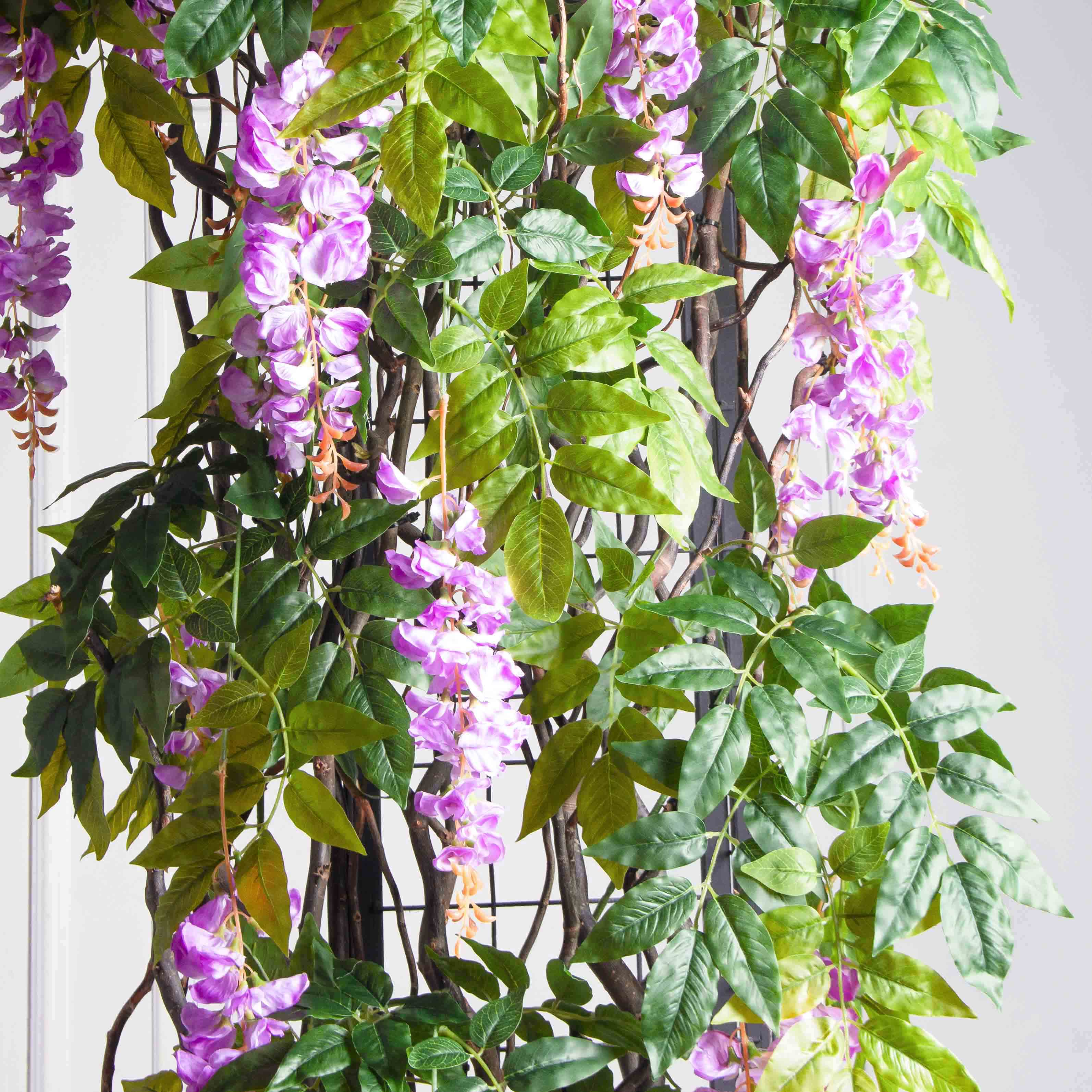 ДЛ163(Пр)(Fix)(F) Декор входной группы с глицинией h270см_6