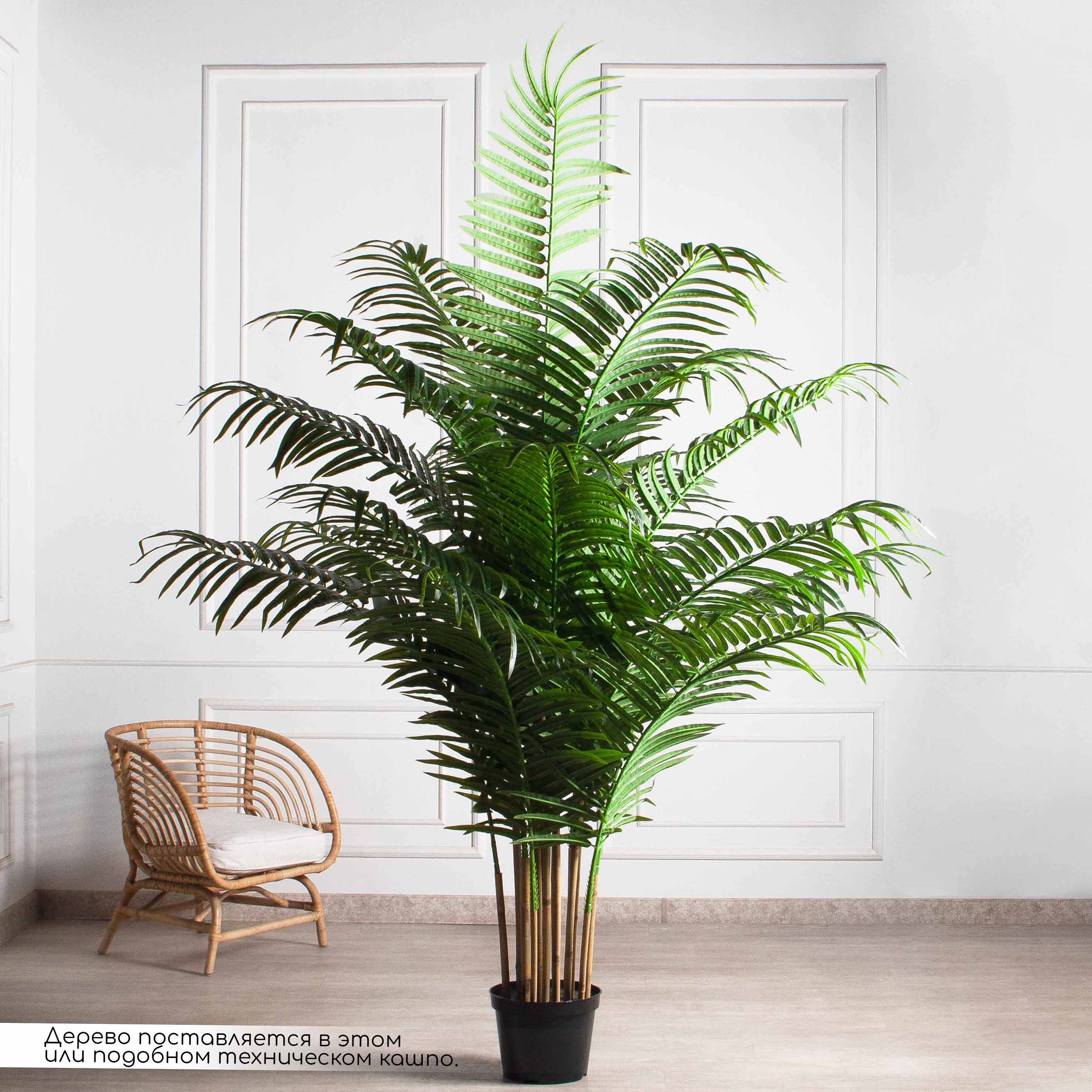 ПК250/К/49-3(з)(Пр)(FixK)(F) Пальма искусственная кустовая h250см (латекс)_4