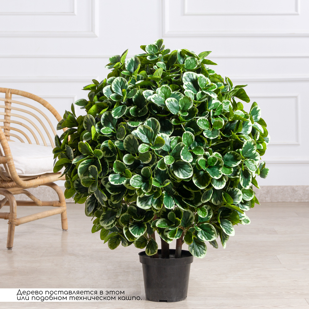 090/К/5199(з)(УУ)(F) Питтоспорум искусственный куст пестрый h90см_2