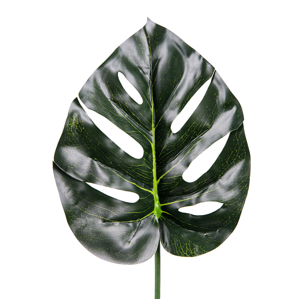 7143/0760-42/2Р Лист монстеры ср.(р-р№5)(лист 20см)_1