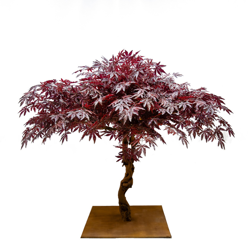 160/ОС/400(з.) Клен Японский красный h160см (латекс)