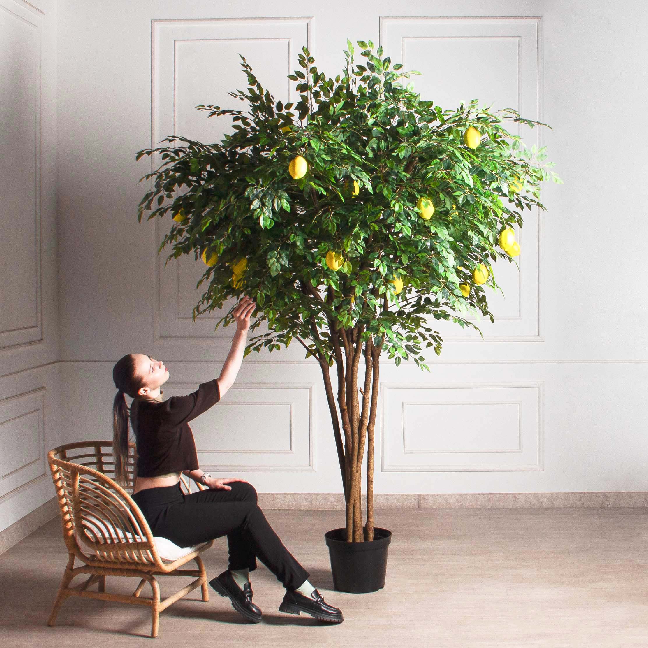 250/РН/20М-1(з)(УУ)(Пр)(F) Лимон искусственный h250см d200см, латекс_2