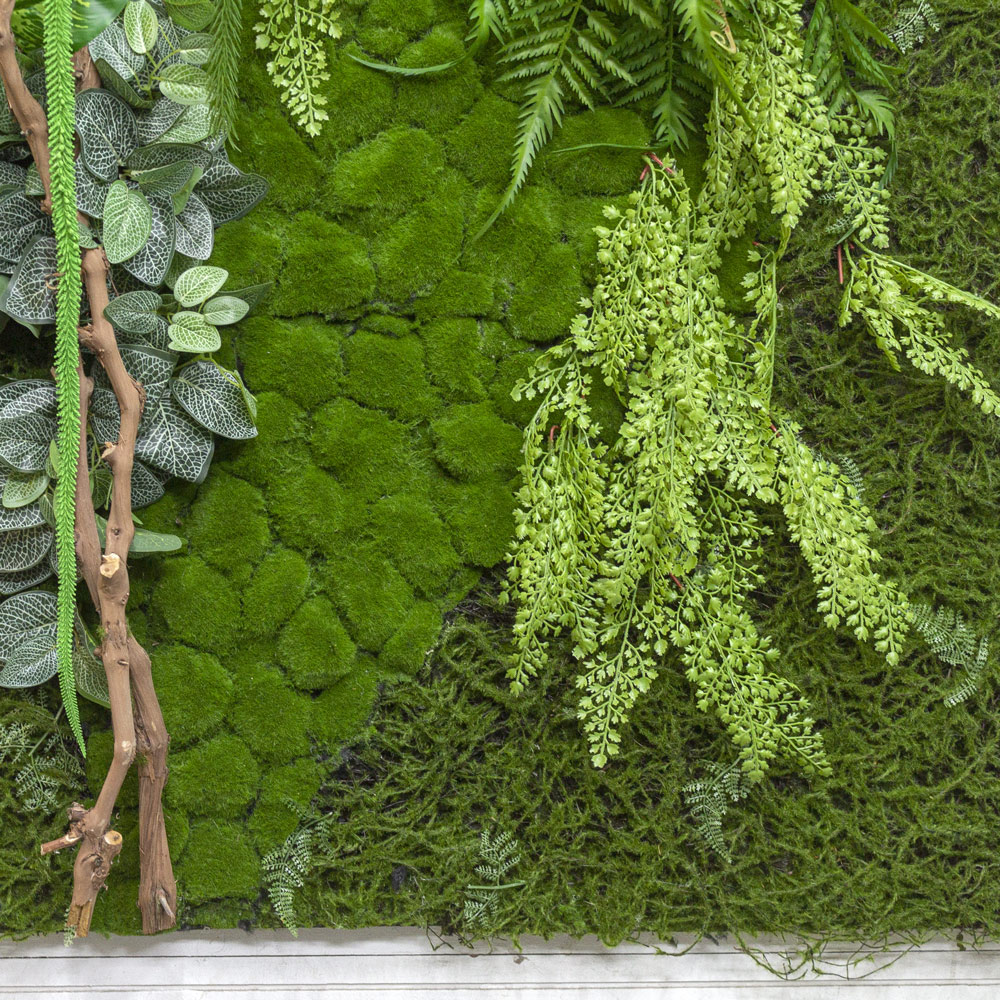 Фитостена 97(з.)_5