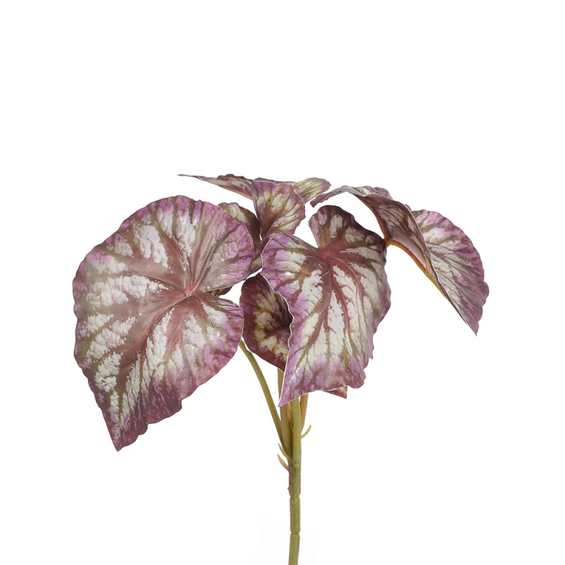 7143/0175-8/11-1 Бегония (латекс) h=25см (15+10) св.-бордовая