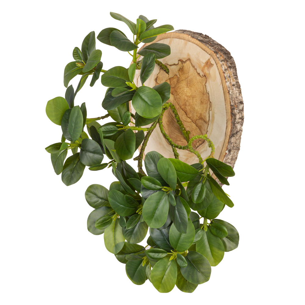 БК140/6 Композиция на березовом спиле d30-40см_1