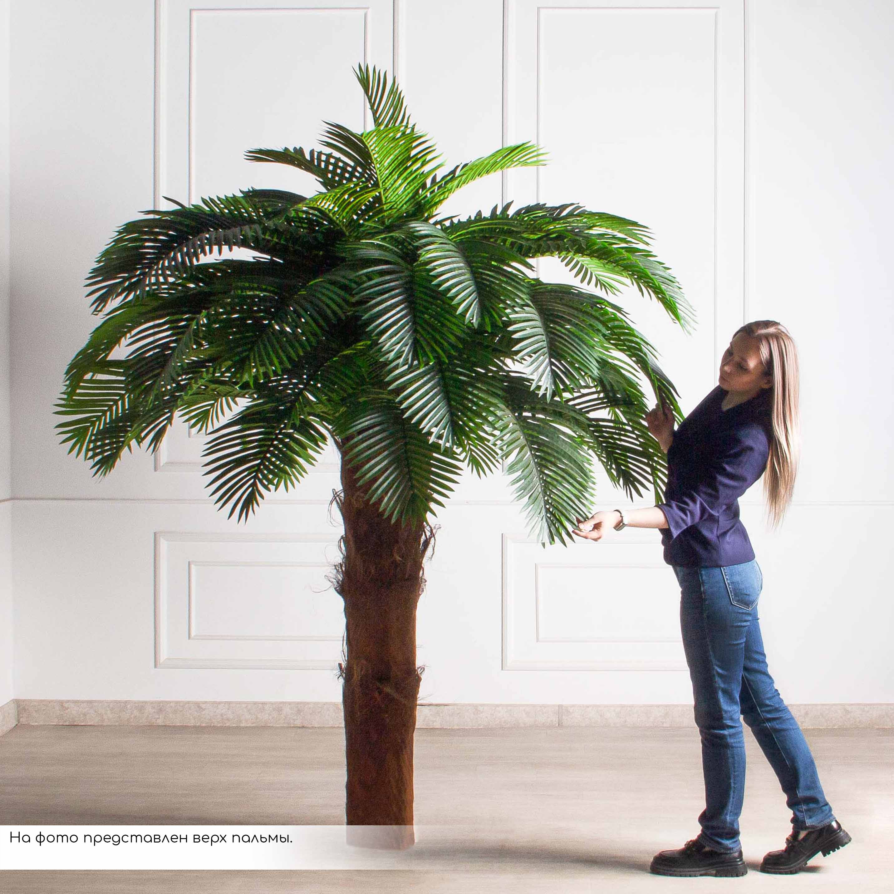 ПС350Разб/ТР/49Люкс(Пр)(F) Пальма Арека искусственная h350см (латекс) на мет.основании_6