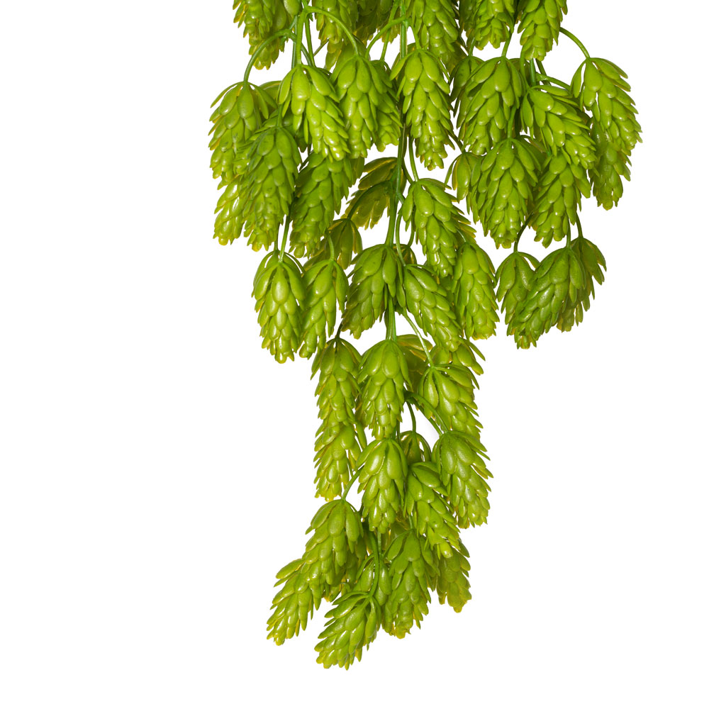 7143/0228-31/1Р Плющ Хмель *7в зелен. h75см_2