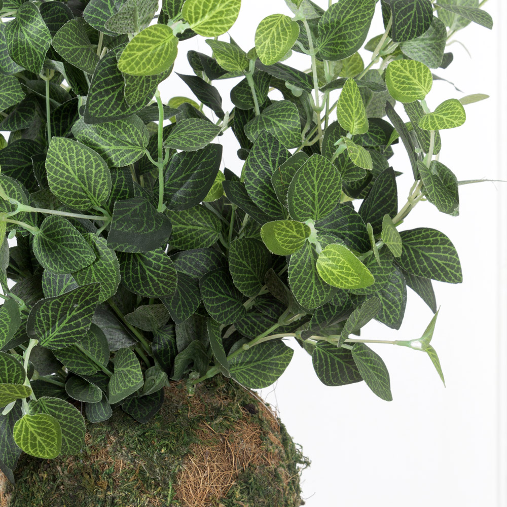 ККД37/214 Кокедама d-15 