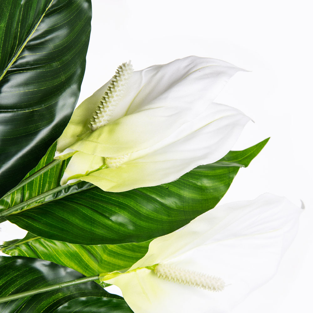 7143/0760-39/1 Куст спатифиллум малый *12в h45см_2