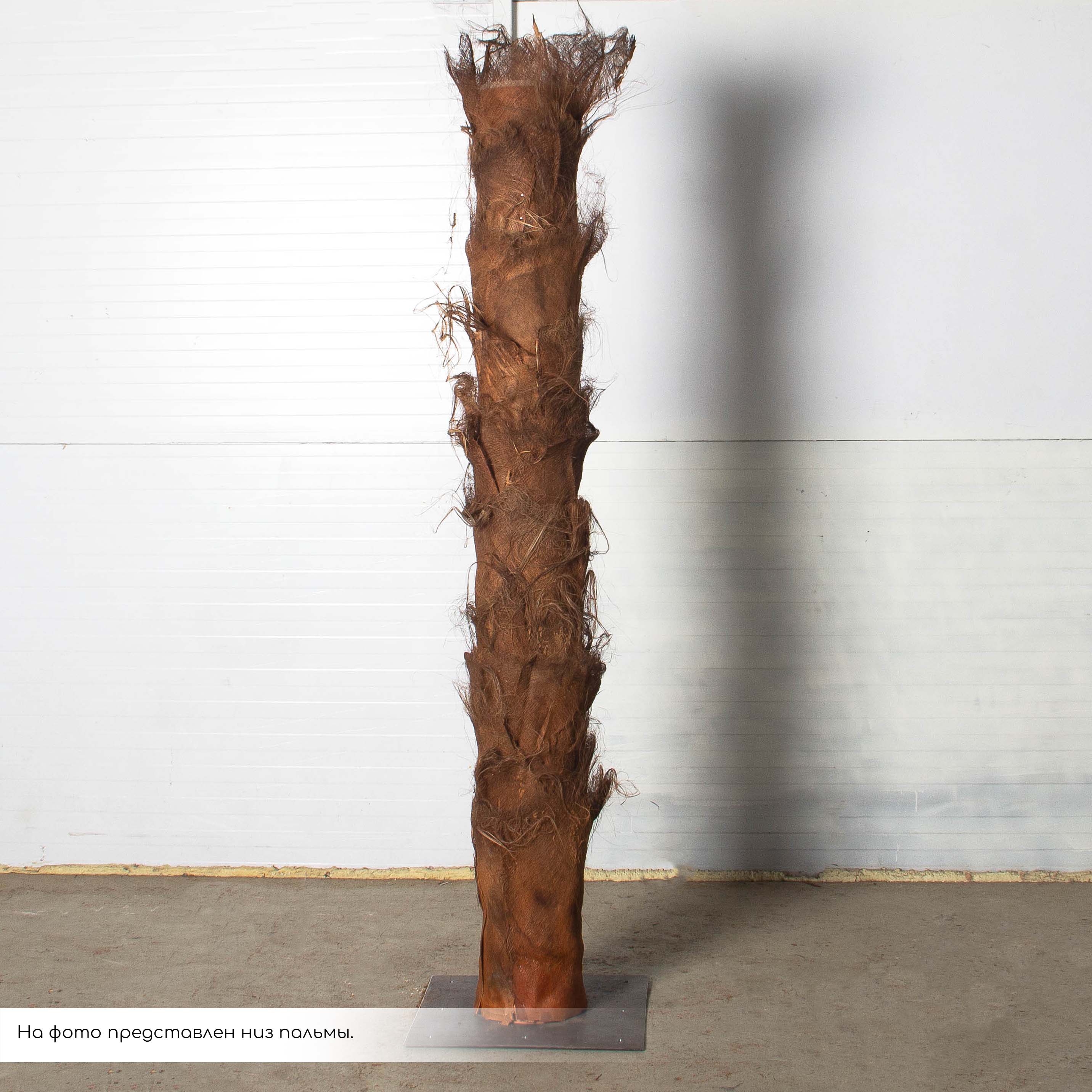 ПС400Разб/ТР/49(Пр)(F) Пальма Арека искусственная h400см (латекс) на мет.основании_8