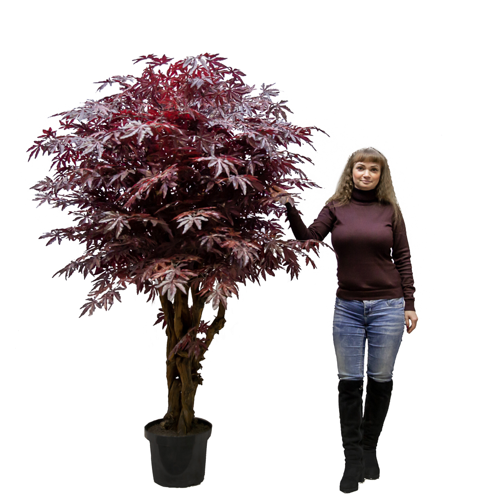 200/ОС/400(з.) _2