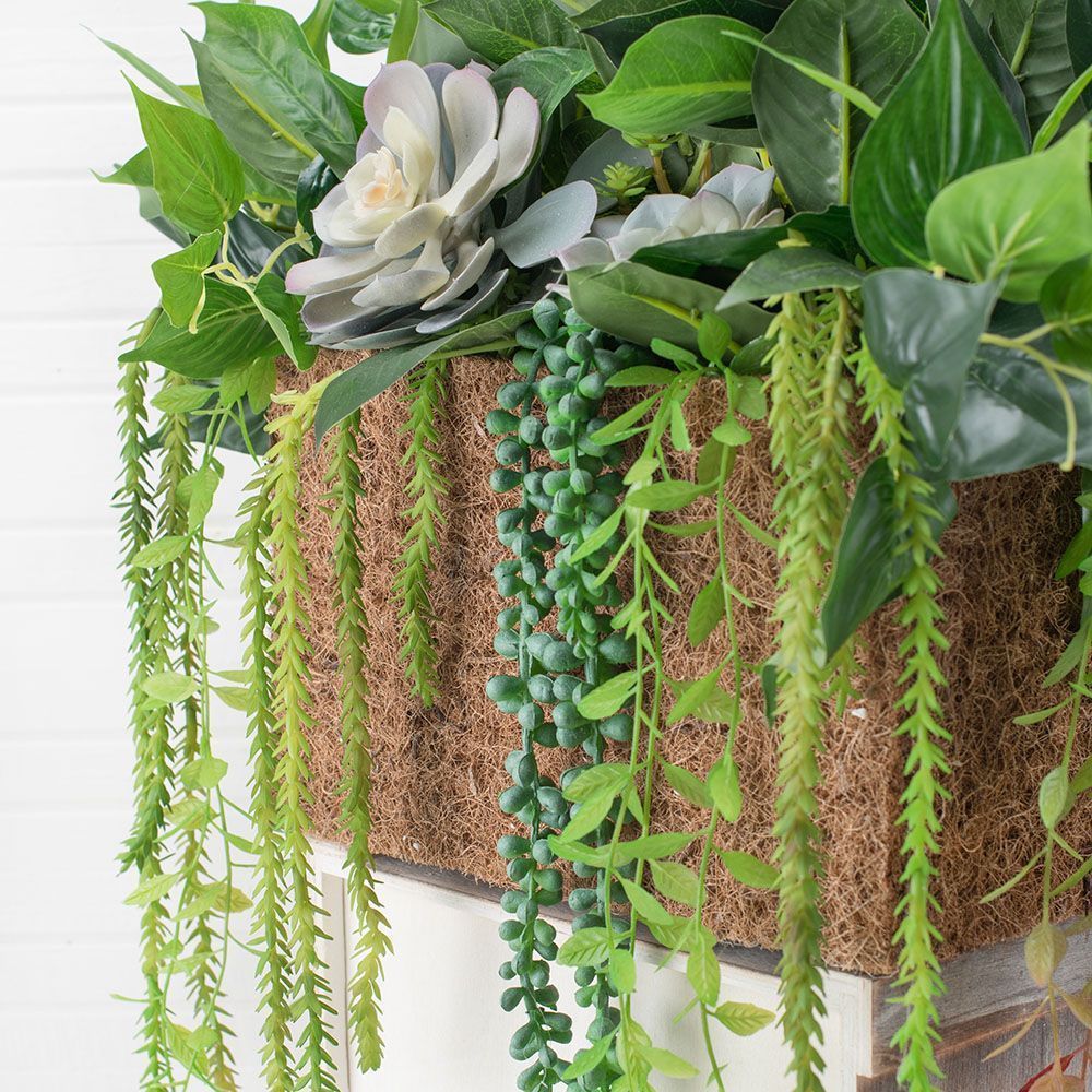 СКК14/7-3(з.) Композиц.из голуб.суккул.с зеленью в к.б(25х27х16,5)_5