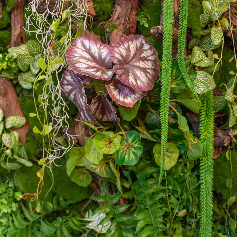 Фитостена 137_3