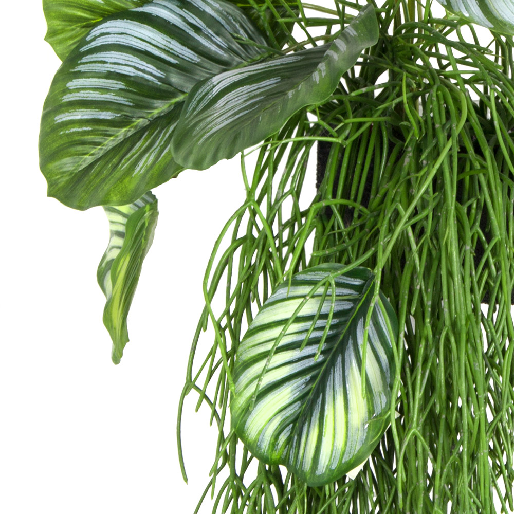 БК 01 Композиция с рипсалисом и филодендроном на блоке 15*h10_3