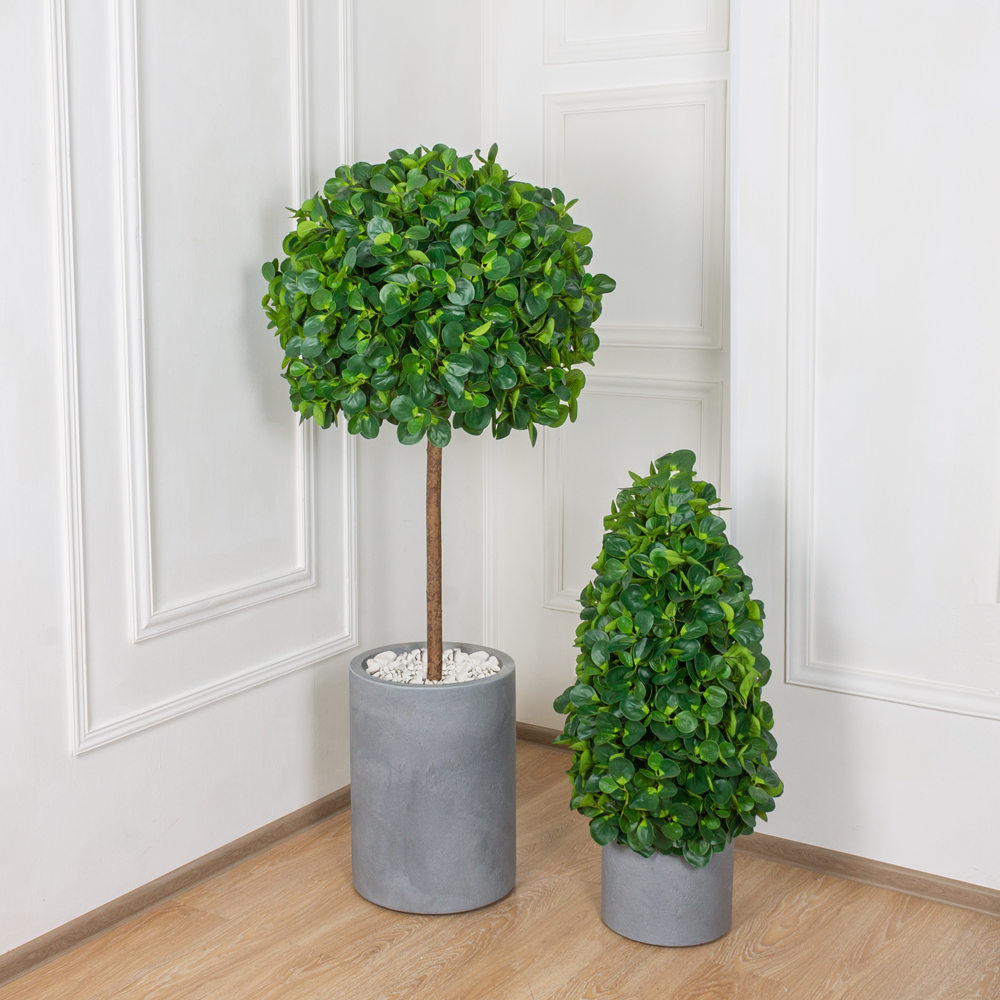 150/РН/473 Питтоспорум искусственный h150см_3