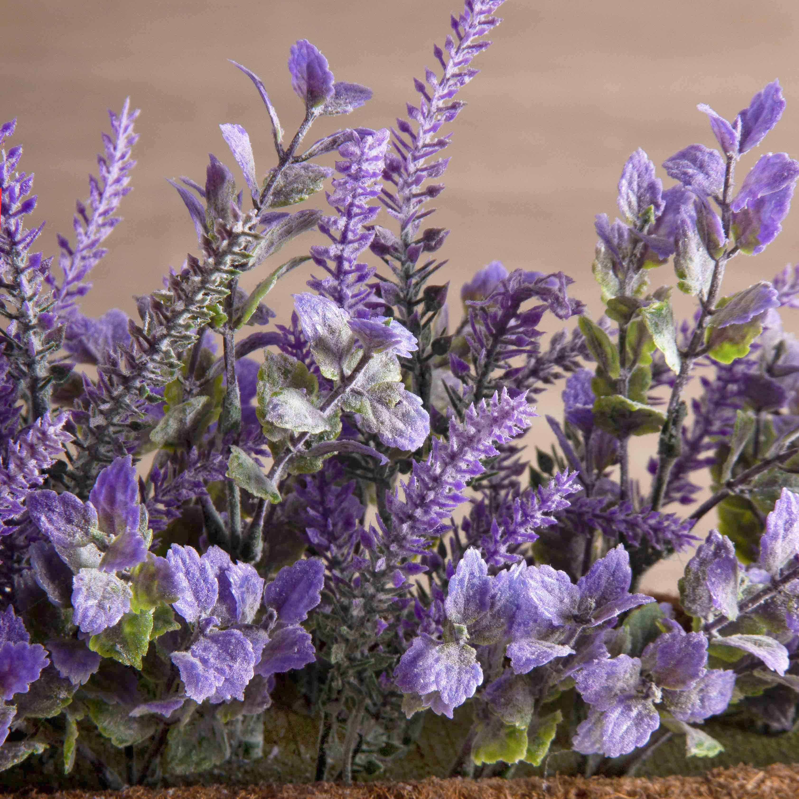 Т034-2(F) Лаванда искусственная h15см в кокосовом боксе 50х8х8см, фиолетовая_5