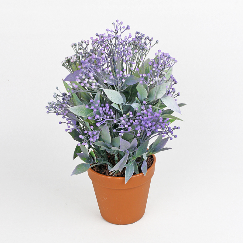 ЦС30/219-5 Куст с ягод.h20 в кашпо d-11h10 (фиол)