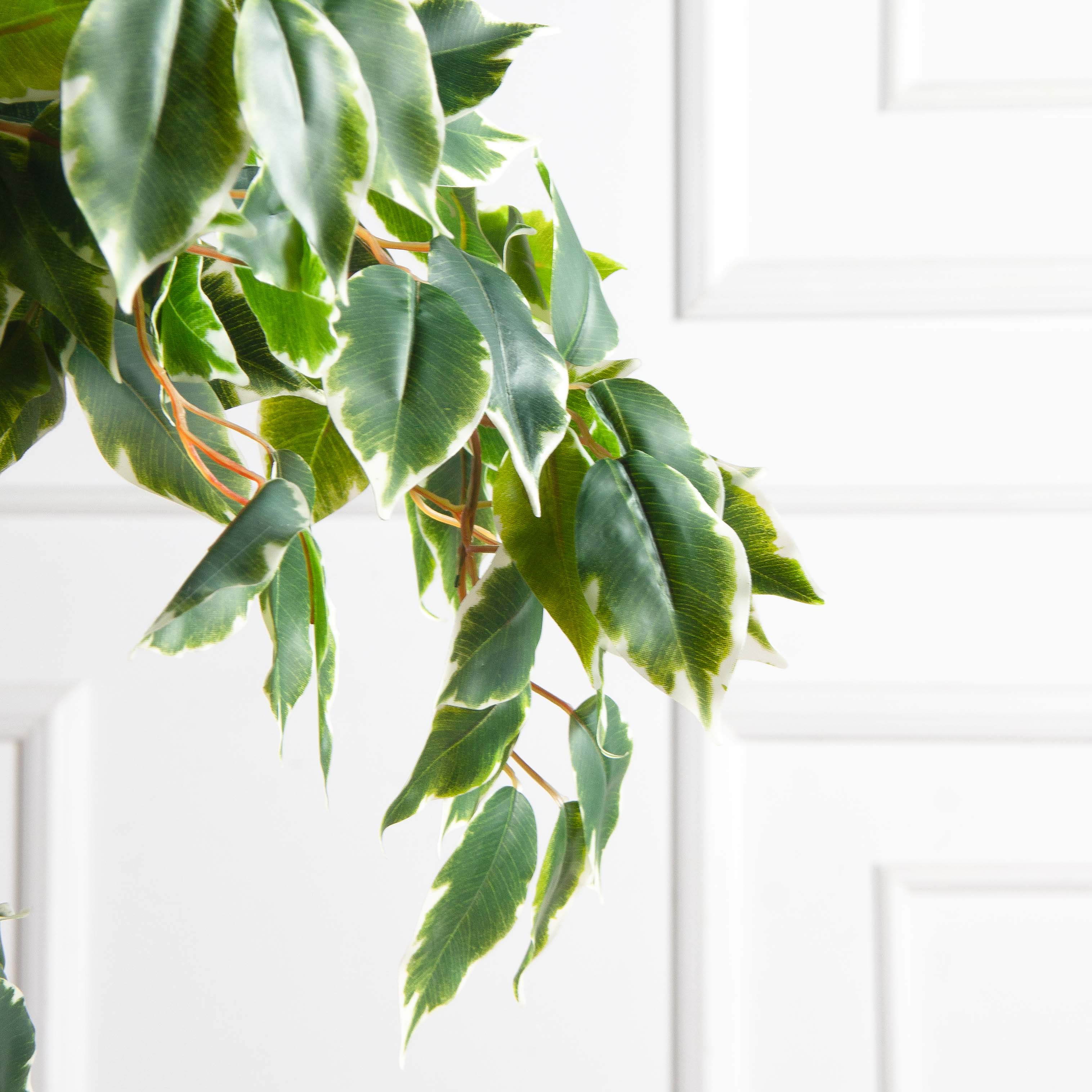 БЛ055/2К/ОС/61-1(з)(F) Бонсай искусственный Фикус пёстрый h55см на круглом основании_4