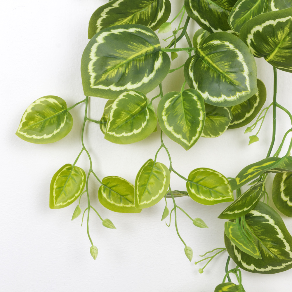 7144/0046-14Р Плющ маранта искусственный h100см (латекс), желто-зеленый_2