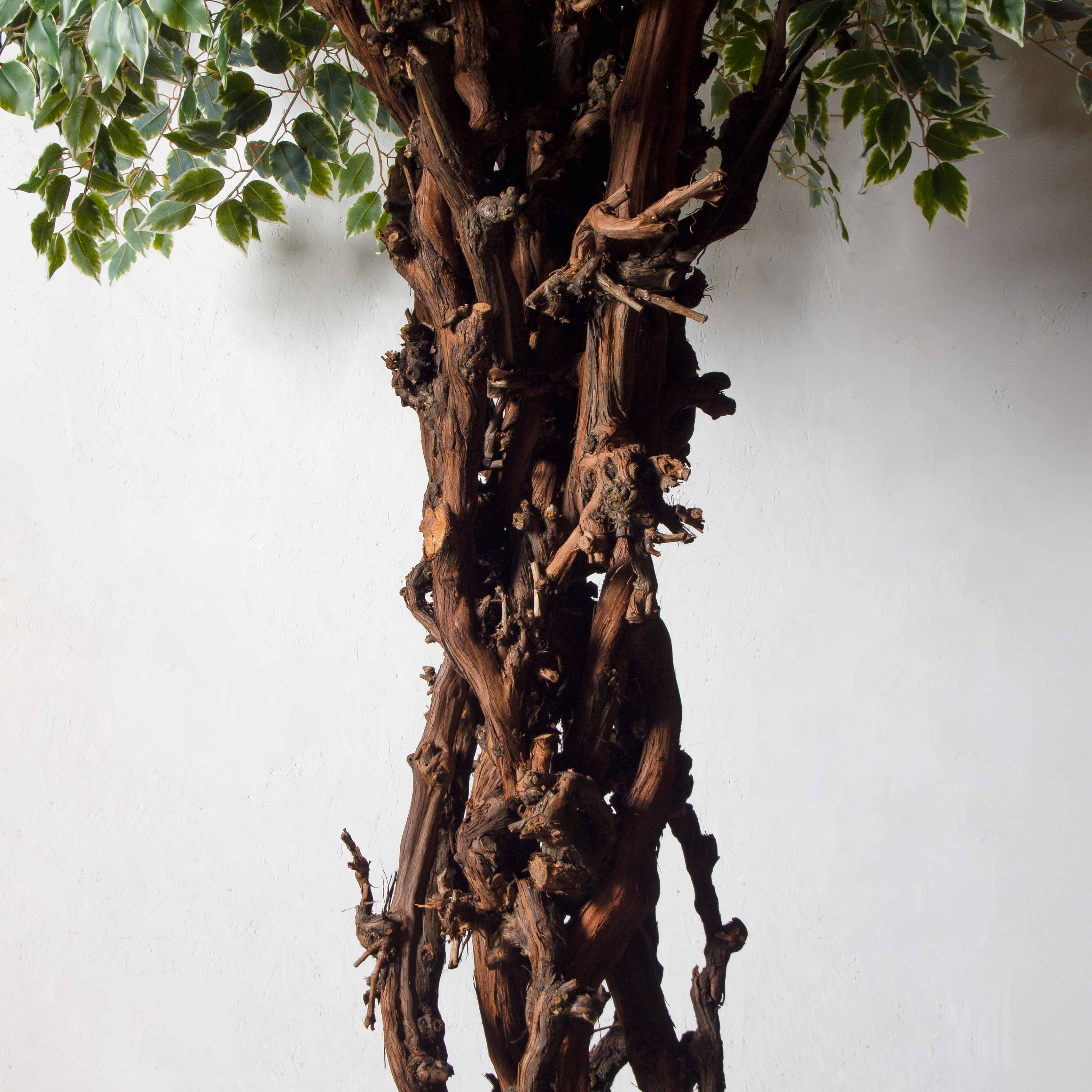 320/ОС/АСС/17(Пр)(F)Фикус Бенджамина искусственный h320см_4